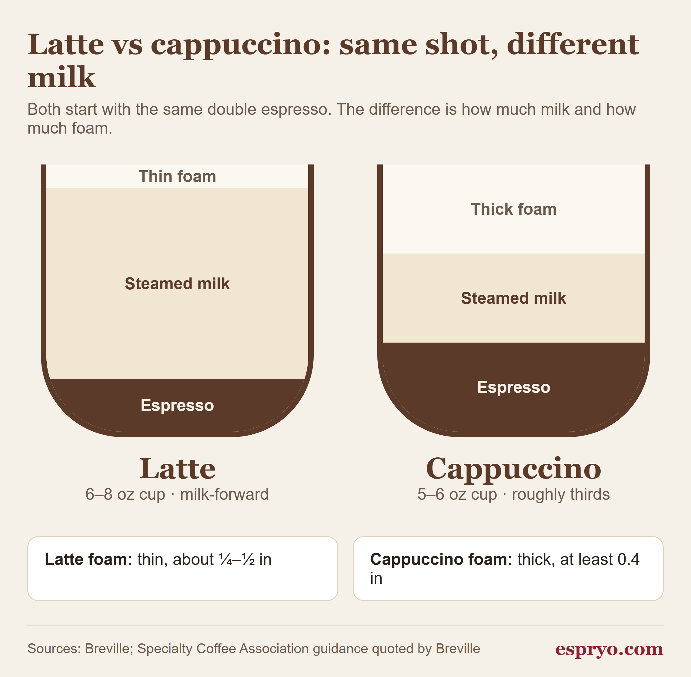 Diagram comparing a latte (thin foam, lots of steamed milk) with a cappuccino (roughly equal thirds of espresso, steamed milk and foam)